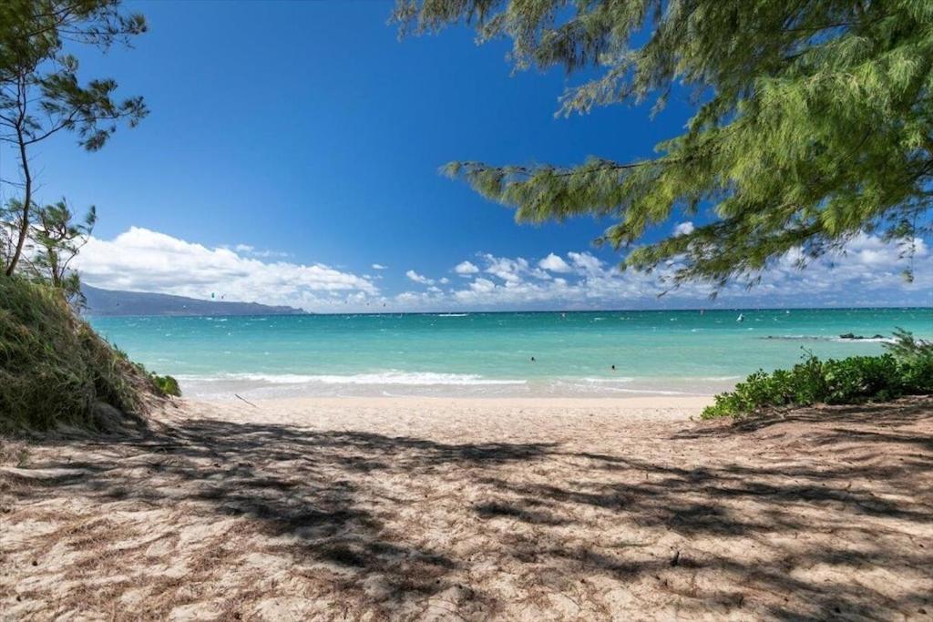 Apartment Unit 17 Maui Ohana Modern